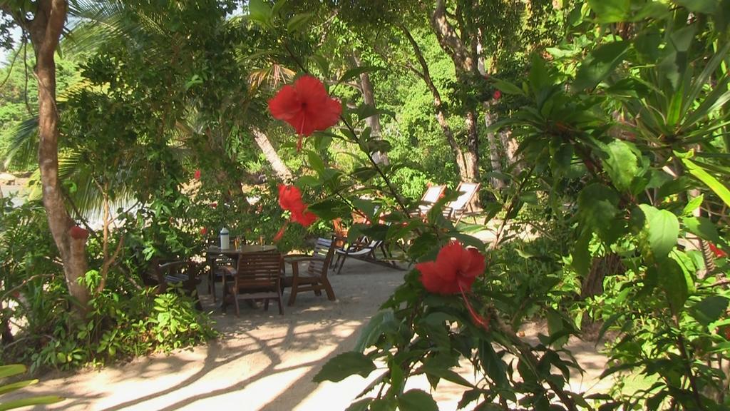 Pousada Tassimirim Velha Boipeba ภายนอก รูปภาพ