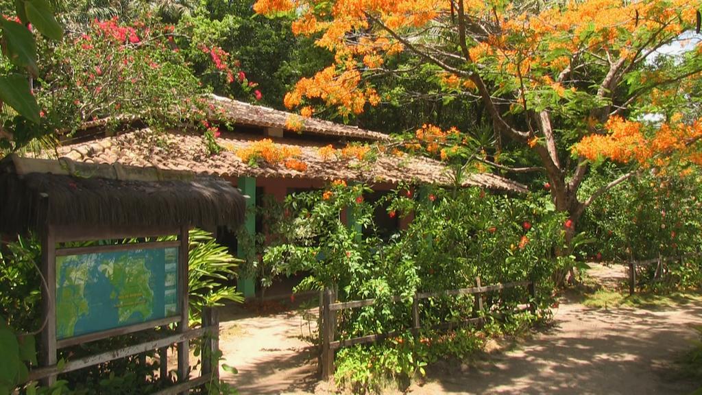 Pousada Tassimirim Velha Boipeba ภายนอก รูปภาพ