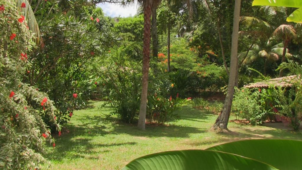 Pousada Tassimirim Velha Boipeba ภายนอก รูปภาพ